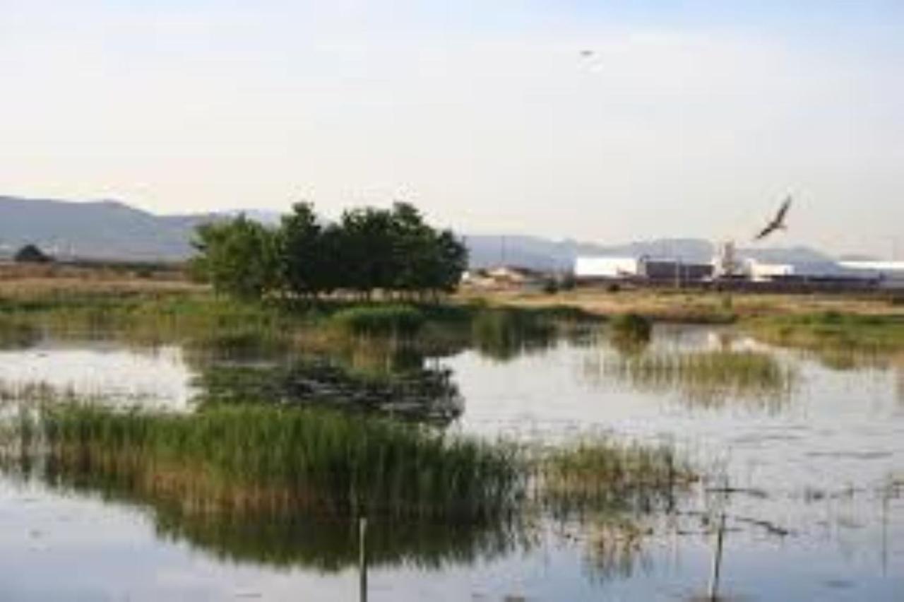 Apartamento Cerca De Playa Y Montana Ideal Familias O Relax Puzol Buitenkant foto