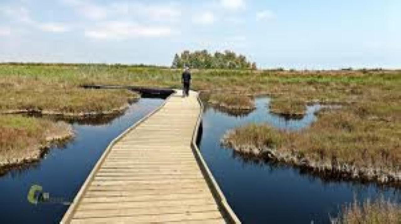 Apartamento Cerca De Playa Y Montana Ideal Familias O Relax Puzol Buitenkant foto